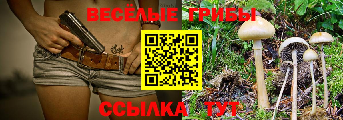 Галлюциногенные грибы Psilocybe Выкса