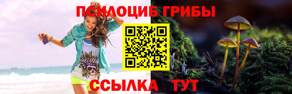 Галлюциногенные грибы ЛСД  наркота  Выкса  Вход с VPN 